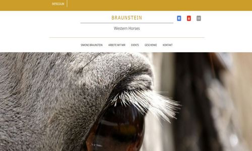 Braunstein Western Horses